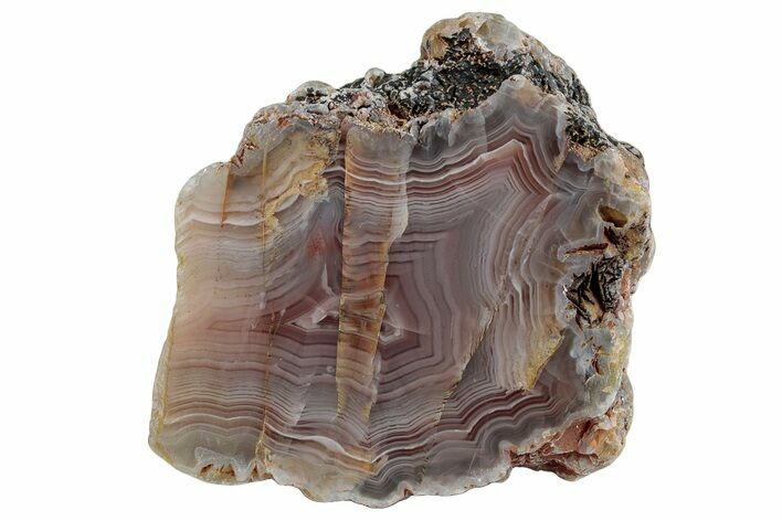 Polished Pilbara Agate Section - Oldest Known Agate #239865